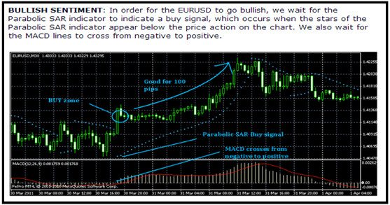 5 minute binary options live signals forum trading strategy